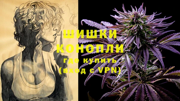 дмт Белокуриха