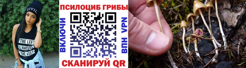 как найти наркотики  Еманжелинск  Псилоцибиновые грибы Psilocybe 